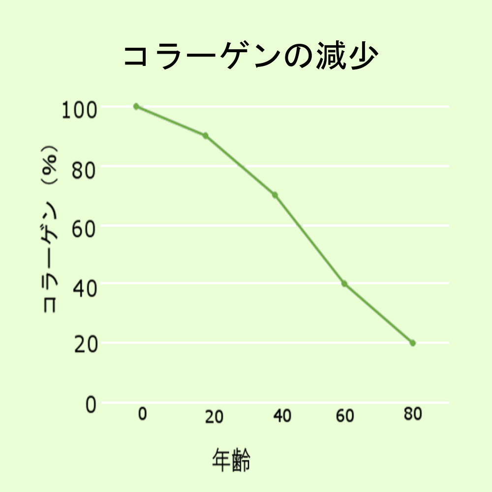 コラーゲンが歳を重ねることに減少