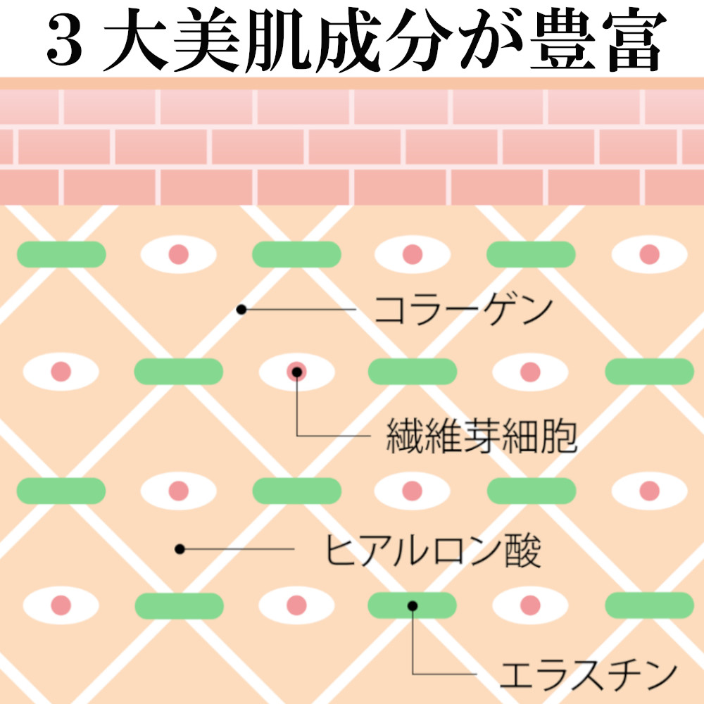 ３大美容成分が多いと、ハリ、潤いのあるお肌になる