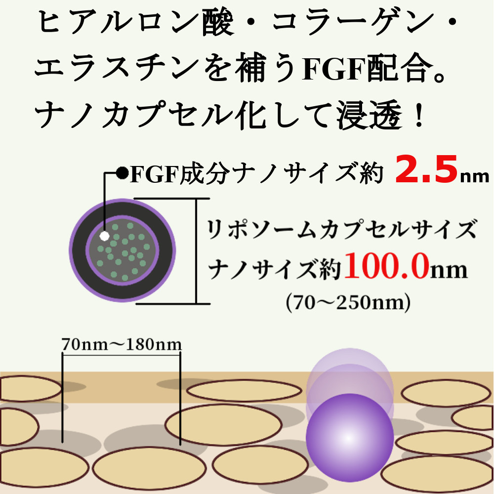 ランプロンは、活性型EGF,活性型FGFをナノカプセルにして配合