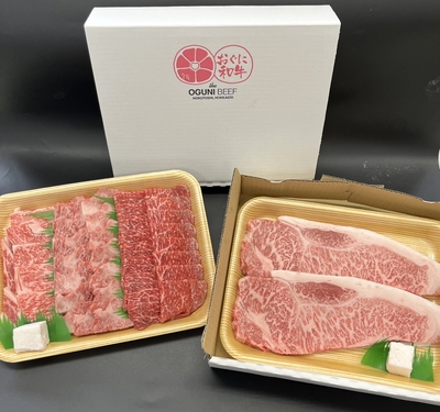 サーロインステーキ＆焼肉ギフト