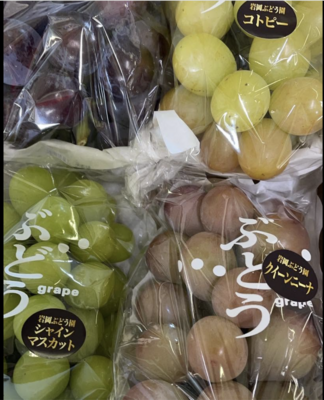 ぶどう園おまかせ食べ比べ4品種セット1箱　(4房入り)約2.2kg　（クール便送料別）　予約品8月20日頃より順次発送