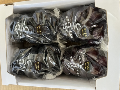 ベリーA（2房）・ピオーネ（2房）セット1箱　約2.2kg　（クール便送料別）　予約品8月17日頃より順次発送