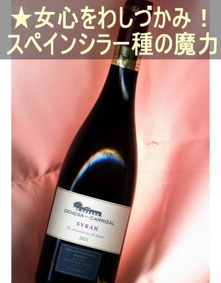 デエサ デル カリサル シラー＜赤・辛口・コクあり・スペイン・ラ マンチャ（ビノ デ パゴ）＞ Dehesa del Carrizal Syrah＜La Mancha・Vino de Pago＞ 