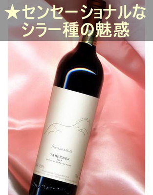 タベルネール ティント＜赤・辛口・コクあり・スペイン・カディス（ビノ デ ラ ティエラ）＞ Taberner Tinto＜Cadiz・Vino de la tierra＞