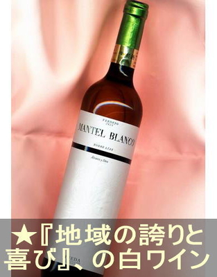 マンテル ヴェルデホ ＜白・辛口・スペイン・ルエダ＞ Mantel Verdejo＜Rueda＞