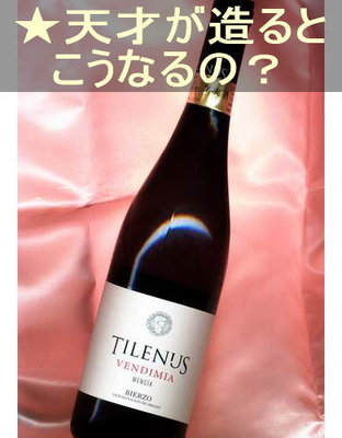 ティレヌス ティント ベンディミア ＜赤・辛口・ややコクあり・スペイン・ビエルソ＞ Tilenus Tinto Vendimia＜Bierzo＞