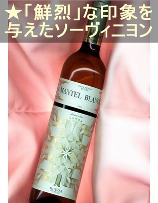 マンテル ソーヴィニヨン ブラン ＜白・辛口・スペイン・ルエダ＞ Mantel Sauvignon Blanc＜Rueda＞