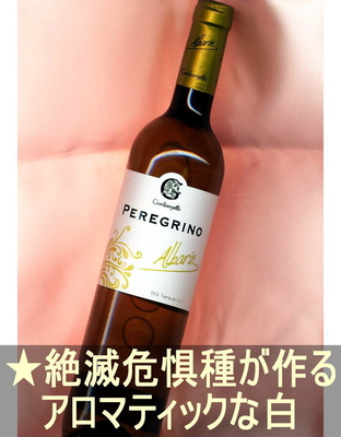 ペレグリーノ アルバリン＜白・辛口・スペイン・ティエラ デ レオン＞ Peregrino Albarin＜Tierra de Leon＞ 