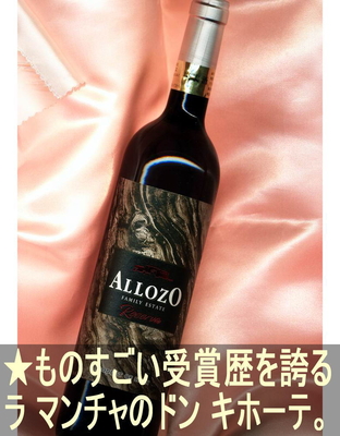 アジョッソ レセルバ ＜赤・辛口・コクあり・スペイン・ラ マンチャ＞ Allozo Reserva＜La Mancha＞