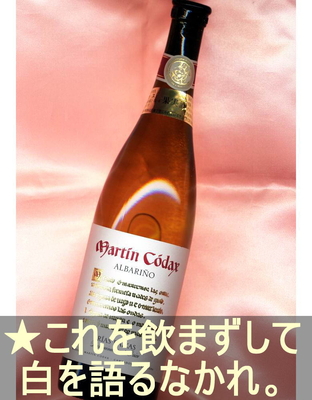 マーティン コダック ＜白・辛口・スペイン・リアス バイシャス＞ Martin Codax＜Rias Baixas＞