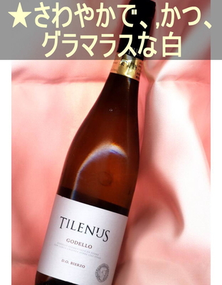 ティレヌス ゴデーリョ＜白・辛口・スペイン・ビエルソ＞ Tilenus Godello＜Bierzo＞