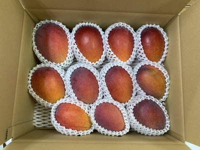 ⑥家庭用アーウィン4kg(9〜13玉)