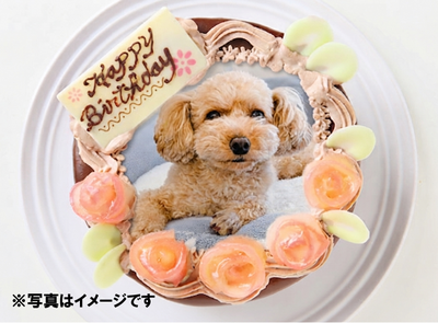 世界にひとつのフォト生チョコケーキ24cm【お持ち帰りのみ】