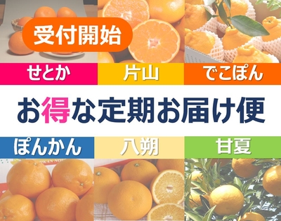 定期便（※カートに別商品があると決済できません　単独で決済してください）