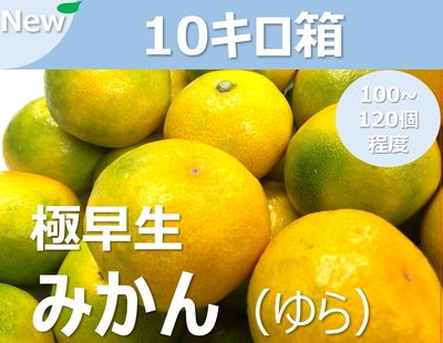 ゆら（極早生みかん）（送料別）