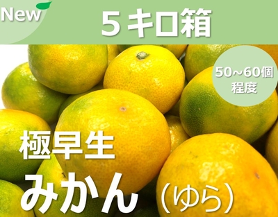 ゆら（極早生みかん）（送料別）