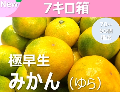 ゆら（極早生みかん）（送料別）