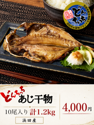 どんちっちあじ干物セット