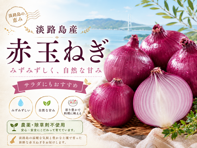 農薬、除草剤不使用！淡路島紫玉ねぎ 赤玉ねぎ5kg【彩り&times;美容】毎日の若々しさを応援！