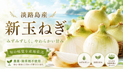 農薬、除草剤不使用！淡路島 新玉ねぎ5kg サラダにピッタリ。春だけのみずみずしい特別な玉ねぎをご賞味あれ。