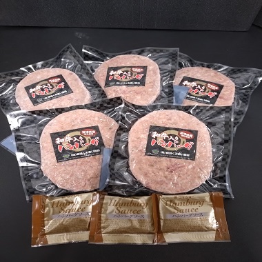 和牛入りハンバーグ（ハンバーグソース付き）　140g&times;５枚　