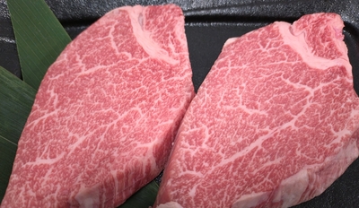 宮崎牛シャトーブリアンステーキ　100ｇ&times;6枚