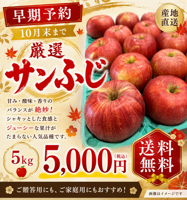 【早期予約★10月末まで】厳選サンふじ 5kg(送料無料)