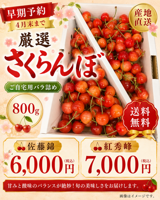 【早期予約★2027年4月末まで】厳選さくらんぼ 800g(佐藤錦/紅秀峰)ご自宅用バラ詰め(送料無料)