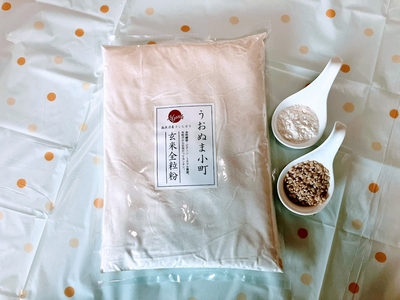 うおぬま小町 玄米全粒粉 1kg