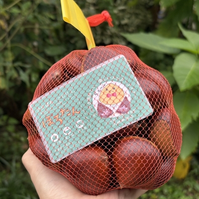 【貯蔵生栗】ぽろたん1kg