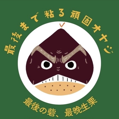 10月中旬販売予定【貯蔵生栗】岸根1kg