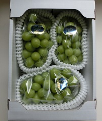 シャインマスカット　2kg