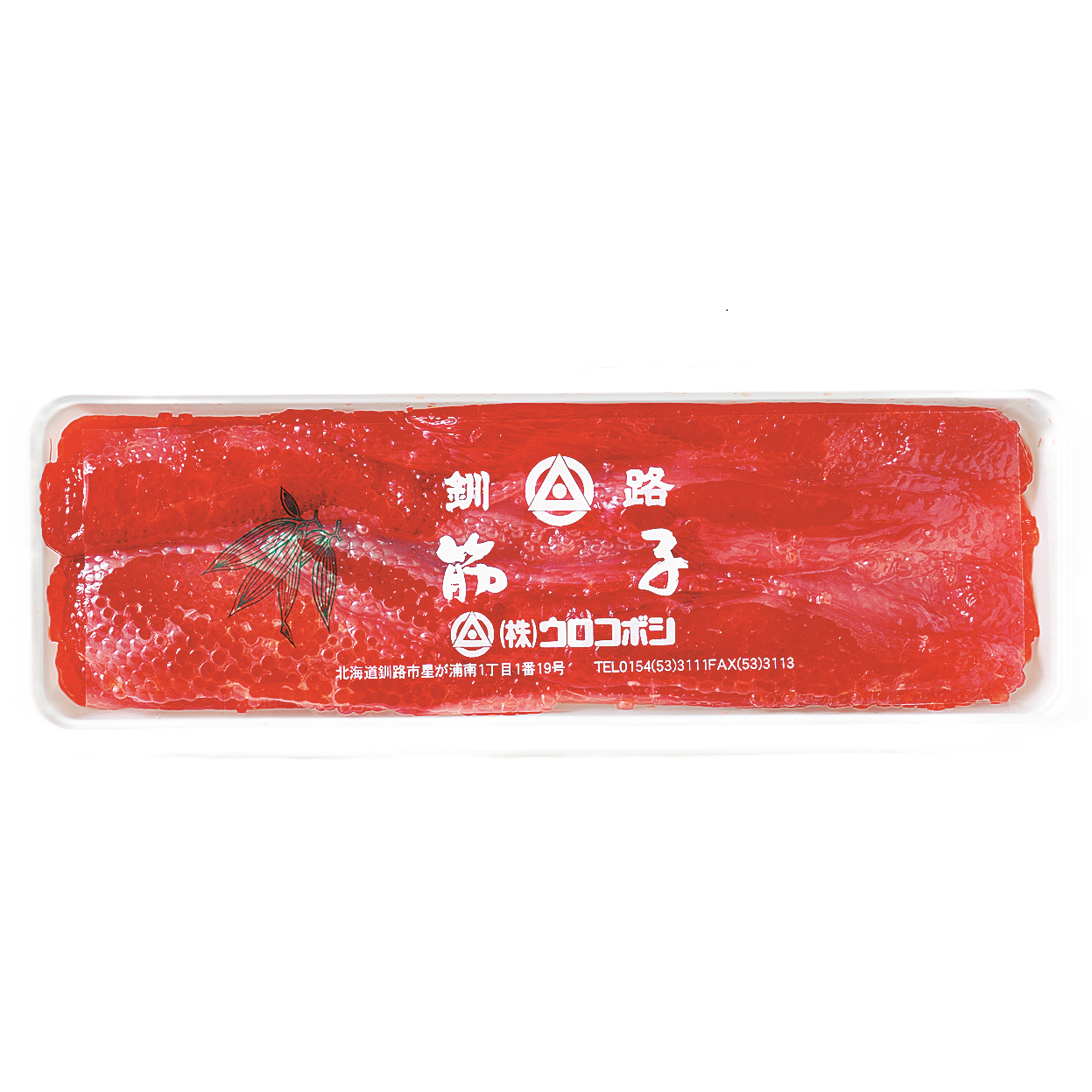 F8808☆標本株☆SS級限定株！！極上高級株！イラン産◇アガベ 【