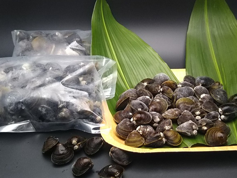 網走産冷凍しじみ 500ｇ 2 砂抜き済み 兼長水産 北の味覚