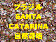 ブラジル サンタカタリーナ農園 自然栽培 200g詰/袋