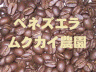 ベネズエラ ムクカイ農園 FullyWashed 100g詰/袋