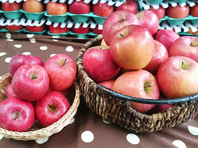 信州樹上完熟サンふじ10Kg　　　　　　 　　　　  　　　　           　     　　         【家庭用】 (24～46玉)・送料無料