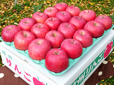 【特秀・M玉】信州樹上完熟サンふじ5Kg　　　　　　 　　               　     　（M玉 20～23玉)・送料無料