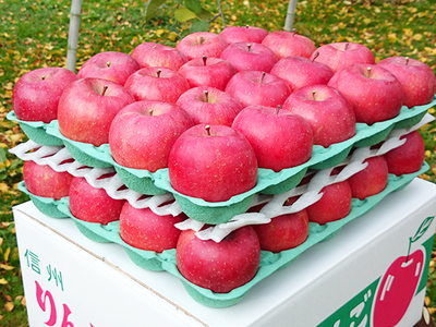 【特秀・M玉】信州樹上完熟サンふじ10Kg　　　　　　 　　　　　　　   　         (M玉 40～46玉)・送料無料