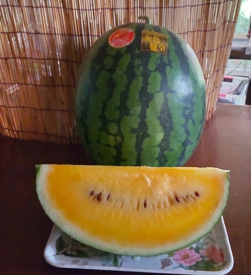 尾花沢オレンジすいか（金色羅皇）🍉 | 有限会社あべ農園