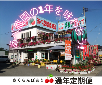 （有）あべ農園定期便【お気軽セット】さくらんぼあり【送料無料】※このページからの注文限定※3～5月のご予約で、6月～翌2月に随時発送