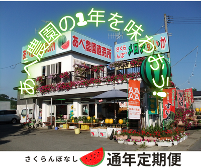 さくらんぼなし（有）あべ農園定期便【すいか三昧セット】【送料無料】※このページからの注文限定※3～5月のご予約で、6月～翌2月に随時発送