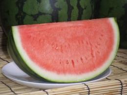 2玉🍉着日指定不可】送料無料【2025ネット予約販売開始】尾花沢