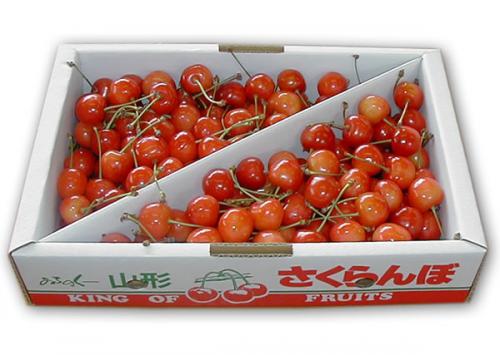 さくらんぼページ 栽培・出荷基準 | 東根さくらんぼ 地理的表示（GI）保護制度