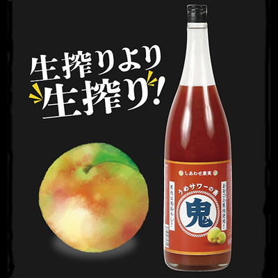 しあわせ果実 鬼おろし サワーの素 うめ 1800ml(北のさくら)
