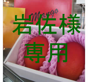 【岩佐様専用】