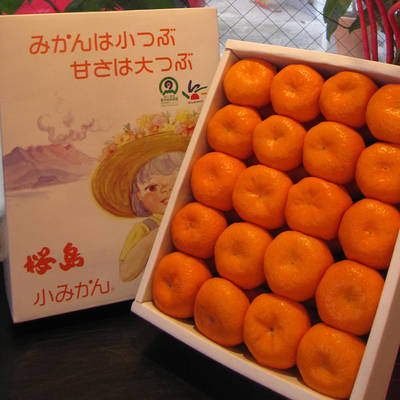 【送料込み】桜島小みかん 40粒（化粧箱）