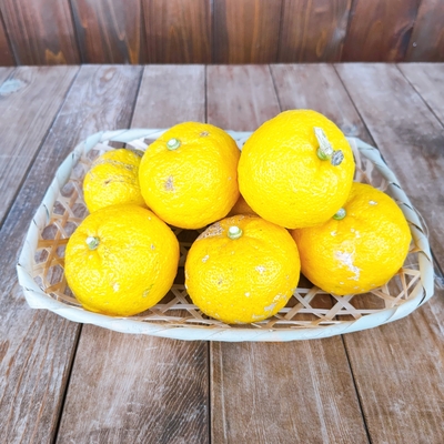 【期間限定】佐渡産 /季節のおすすめ果物【常温同梱可】