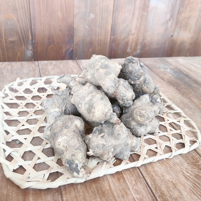 【土付き/ハネ】佐渡産 きくいも【常温同梱可】