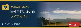 ライブカメラ